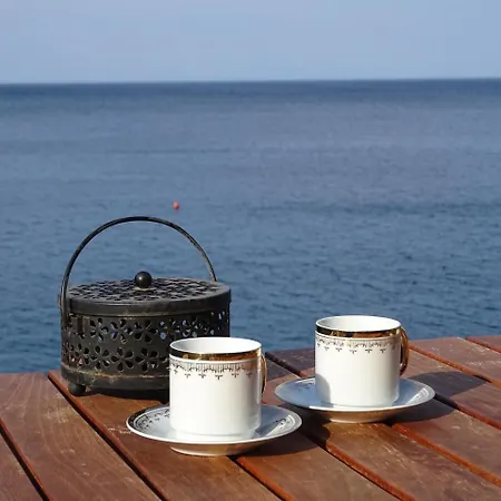 Sofia Front Of The Sea Vila *